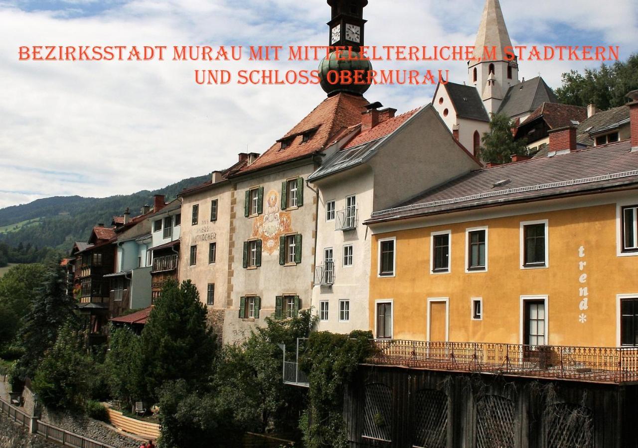 Fewo Gabi Haus Pacher Sankt Peter am Kammersberg Екстер'єр фото